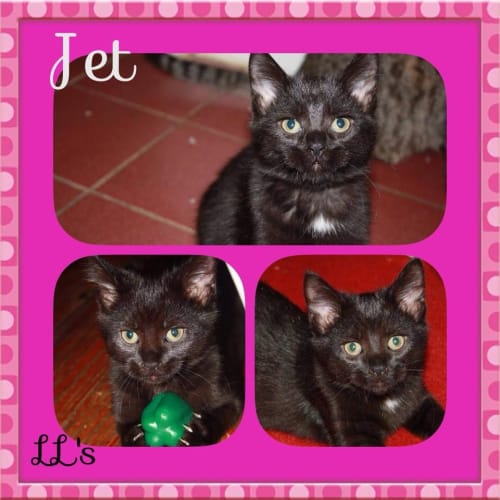 Jet