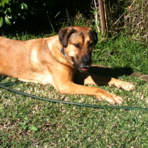 No photo for Tucker Is Going Off To Victoria To His New Home 