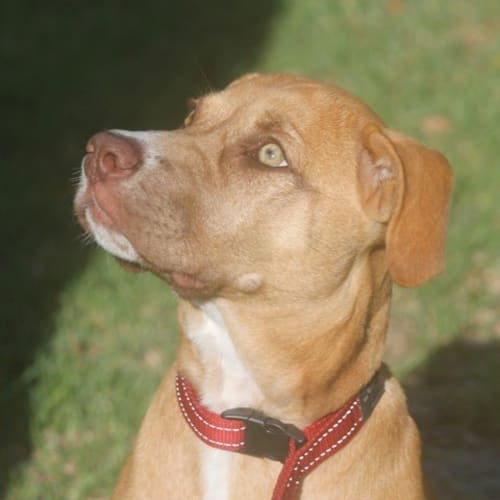 Winnie #1697