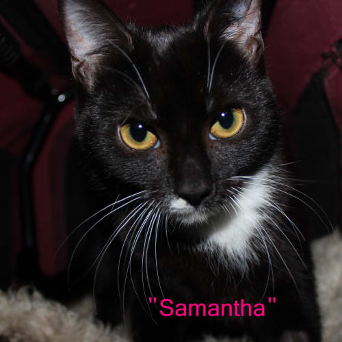 Samantha
