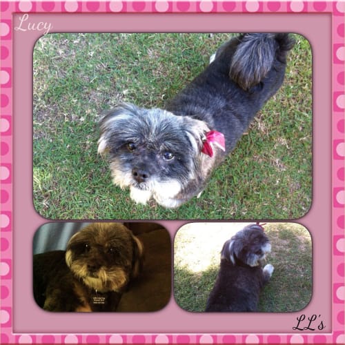 Lucy