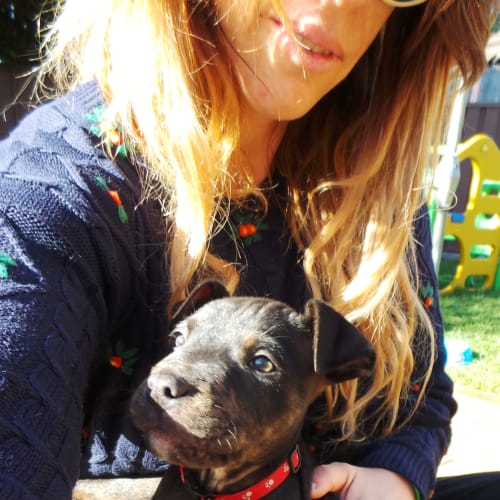 Diesel: 9 week old pup