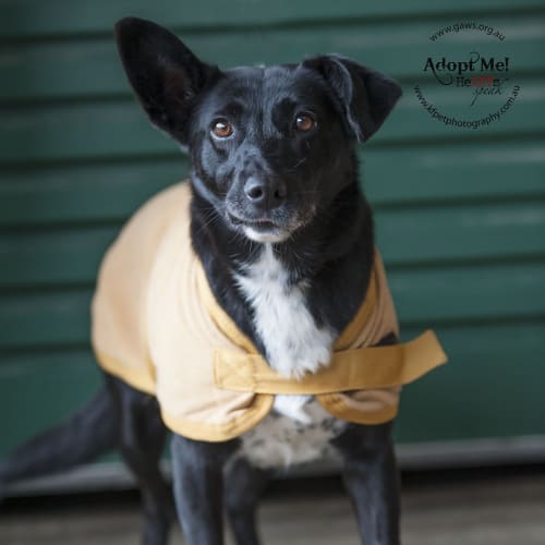 No photo for Beachly (Id 21837)