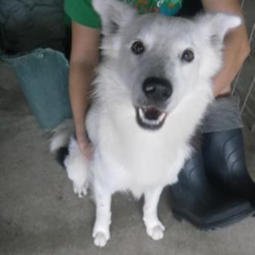 Axel