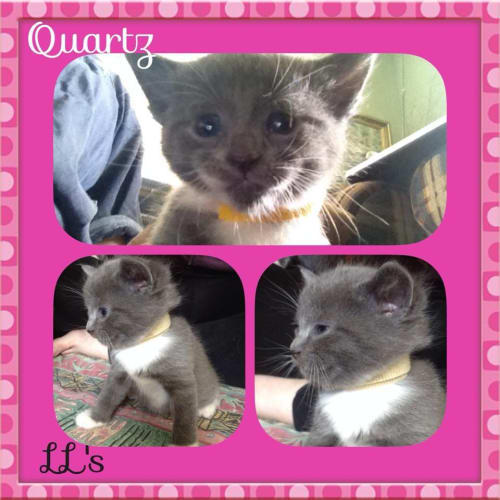 Quartz