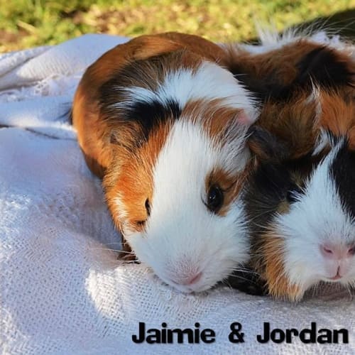 Jaimie and Jordan
