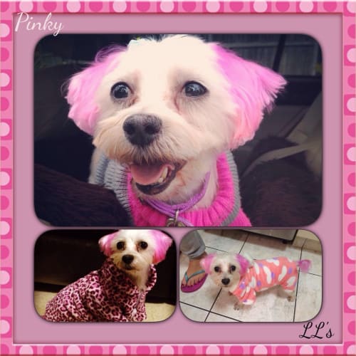 Pinky ~ only $275 until sept 23
