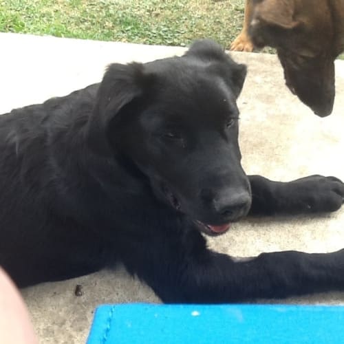 Bailey