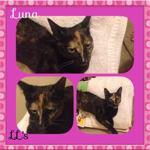 Luna