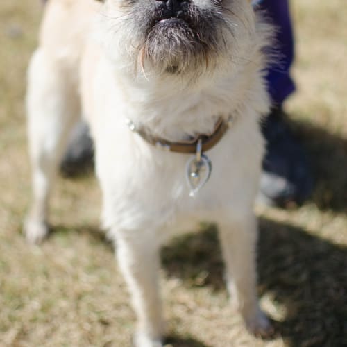 Buster