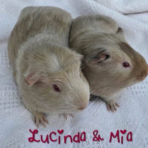 Lucinda and Mia