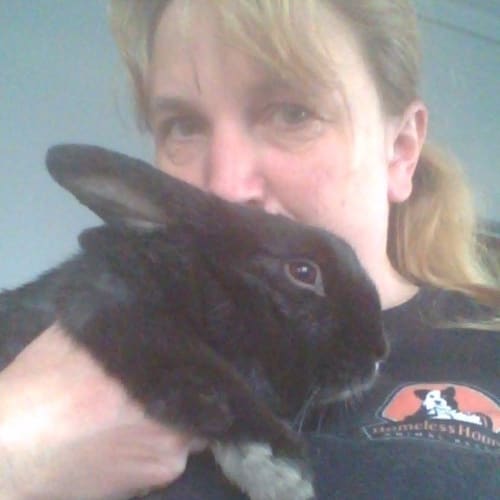 Thumper 