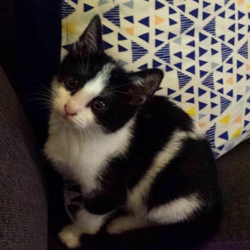 Emily