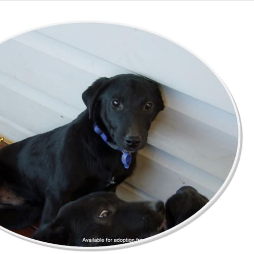 Archer (On Trial 26/10/14)