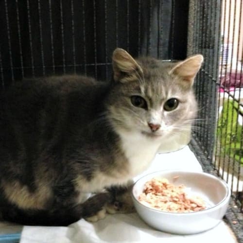 Martha - Special Needs