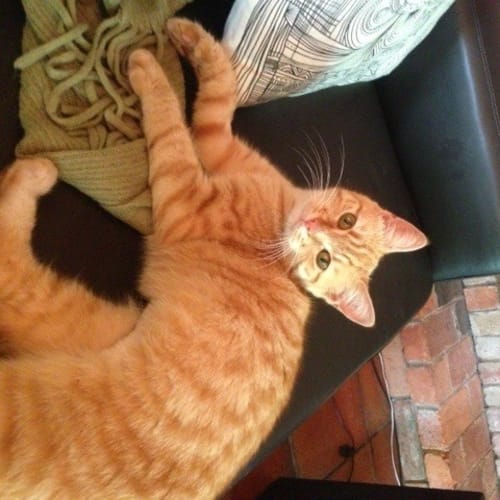 Marmalade