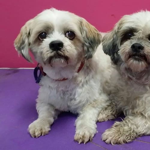 Bonnie & Jemmie