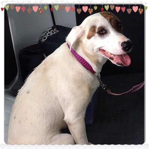 Sienna ** A Lovely Happy Girl **
