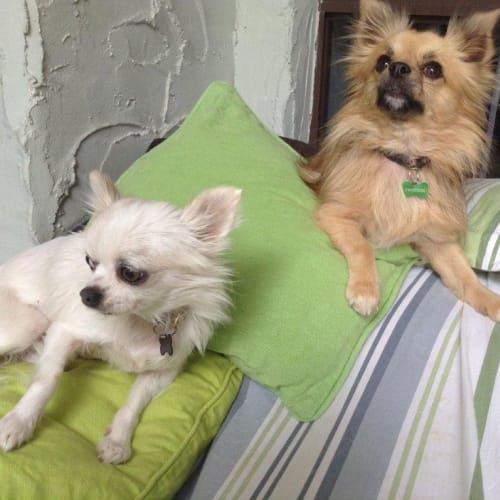 Hope & Mia