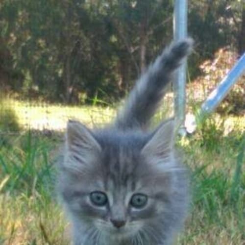 Luna