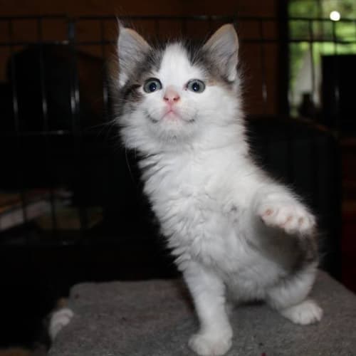 Lucy *No more enquiries*