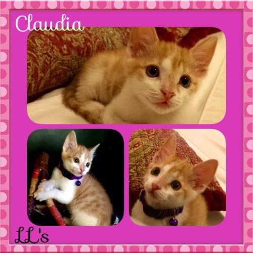 Claudia 