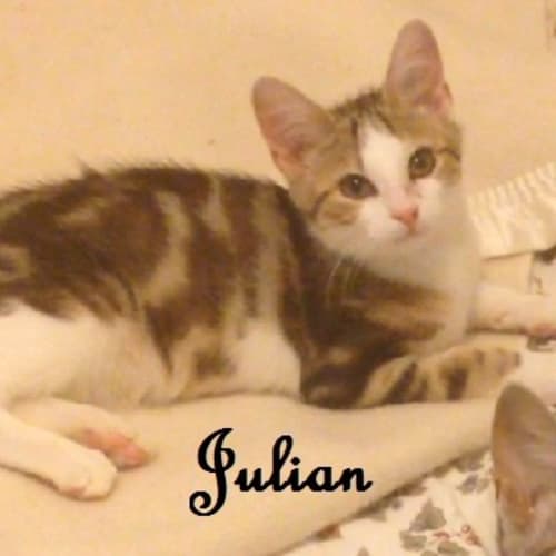 Julian