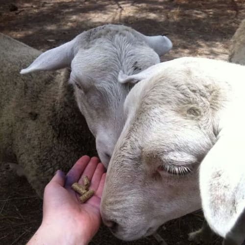 Kim Kardashian and Beyoncé