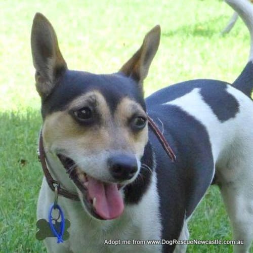 Christa (On Trial 30/12/14))