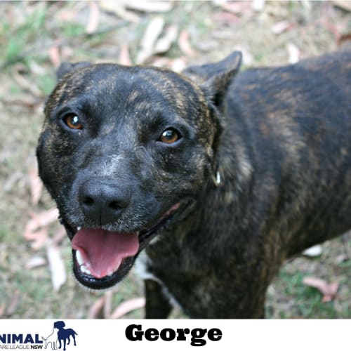 George