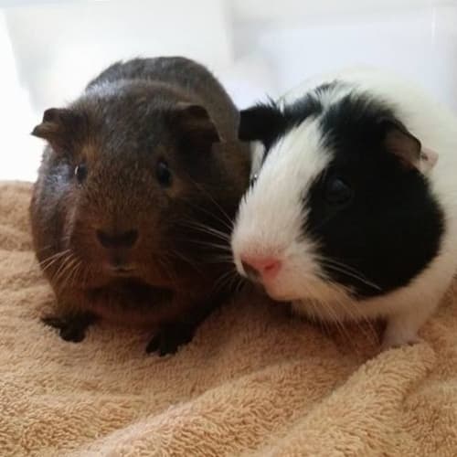 Mimi and Madeline