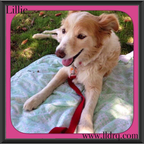 Lillie