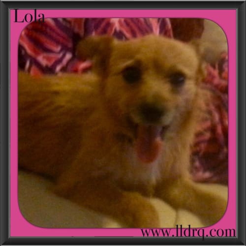Lola