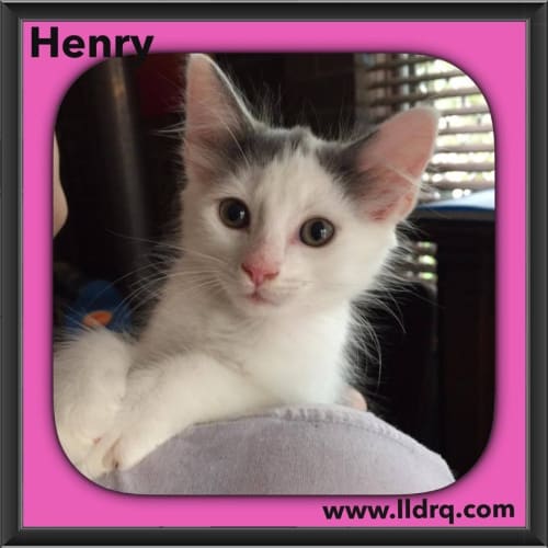 Henry 