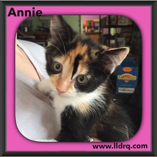Annie 