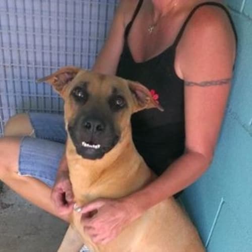 Ella (adoption pending)