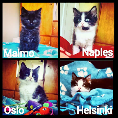 Helsinki