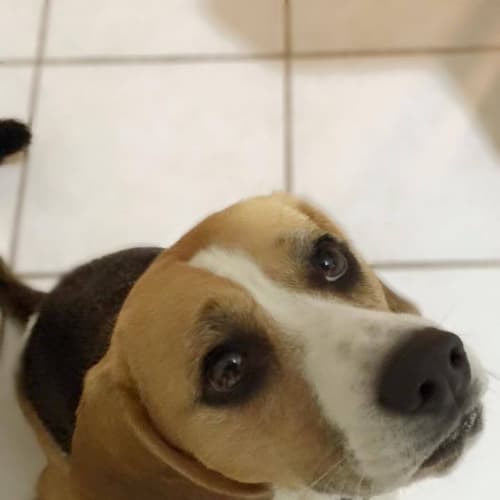 Sophie