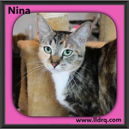 Nina