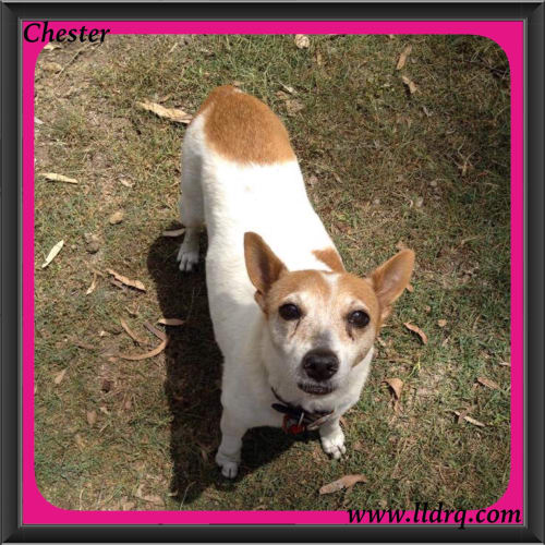 Chester