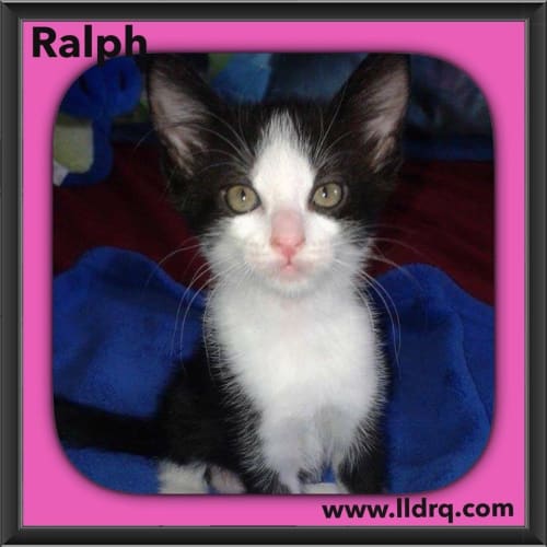 Ralph 