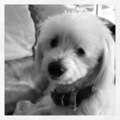Winnie 