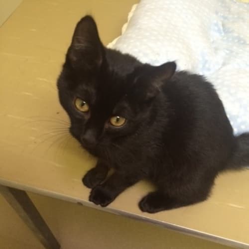 Harry (Happy Harry) :)