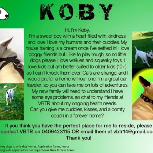 Koby