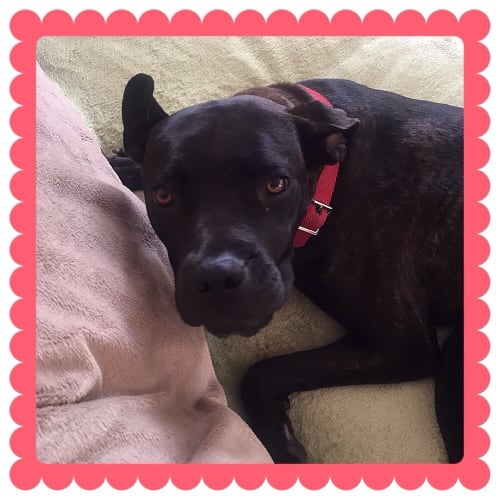 No photo for Lady ** Such A Lovely Natured Girl **