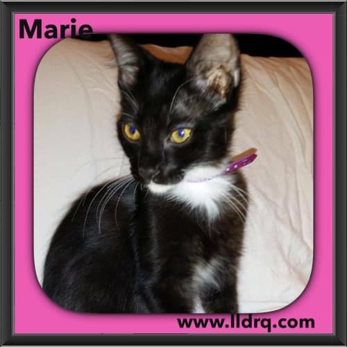 Marie 