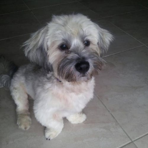 Walter