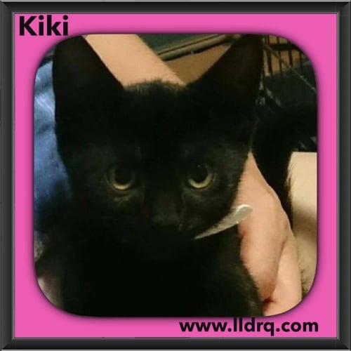 Kiki 