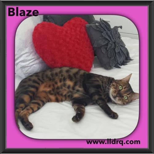 Blaze