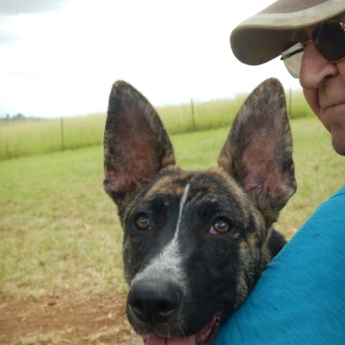 Wilma (adoption pending)